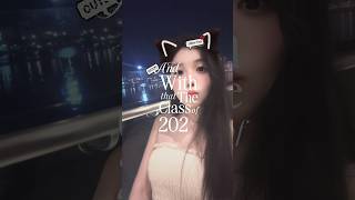#사기#필터 #휴가#한강#다낭#힐튼호텔