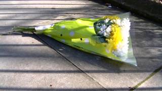 Cosines - Commuter Love