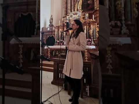 Hochzeitssängerin Tanja Hiller - Ein Leben lang /Björn Landberg (Cover)