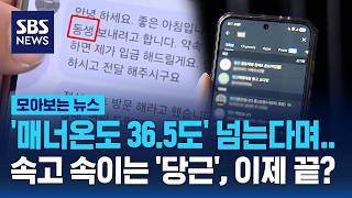'매너온도 36.5도' 넘는다며.. 속고 속이는 '당근', 이제 끝? / SBS / 모아보는 뉴스