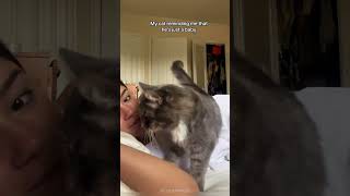 Download lagu Part 41 #funny #cat#ShortsChallenge mp3