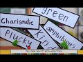 Kermit The Frog Sings Unpack Your Adjectives