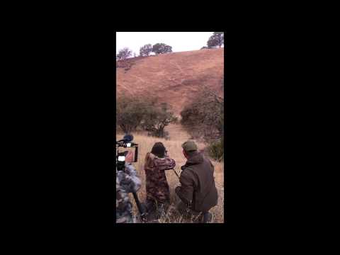 Oak Stone Outfitters Youth Hunts - Wild Pig Oak Stone Outfitters Youth Hunts - Wild Pig