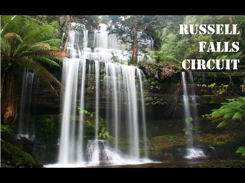 Tasmania Hiking- Russell Falls Circuit, 