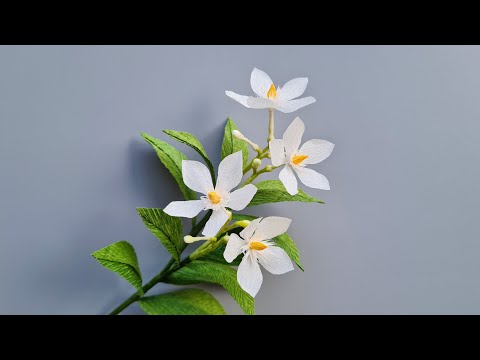 How To Make Wrightia Antidysenterica Paper Flower / Paper Flower / Góc nhỏ Handmade