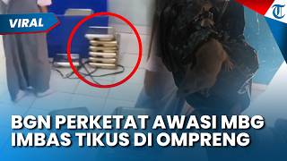 GEGER TIKUS MBG! BGN di Semarang Beri Respons Cepat, Pengawasan & SOP MBG Diperketat