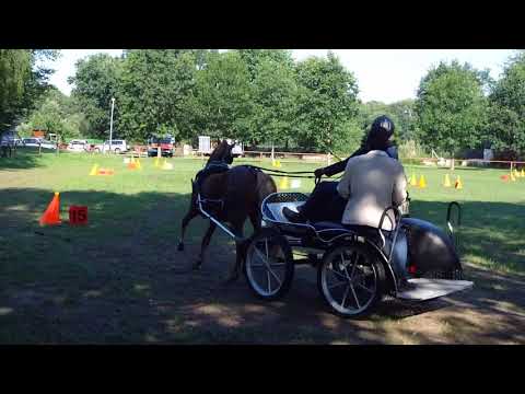 Fahrturnier Neu Versen 23.6.2019