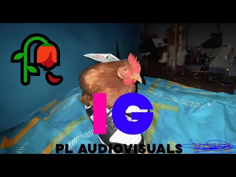 🎶 PL Audiovisuals - IG | CHICKEN from Jersey Club x UK Drill REMIX ‼