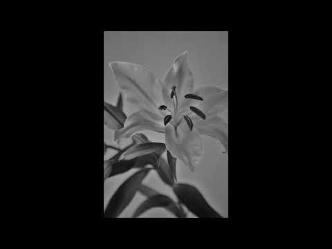 "träum" - Genetikk x Sido | Type Beat | MoeNMQ