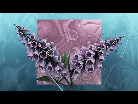 FLOYD WEST22-BEAUTIFUL NOISE