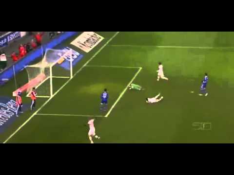 Vedad Ibišević 3rd GOAL against Schalke 04