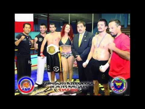 /HARDFIGHT/ 6° TORNEO INTERNACIONAL COPAM 2014