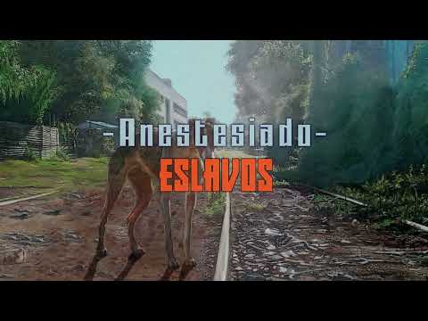 ESLAVOS - ANESTESIADO