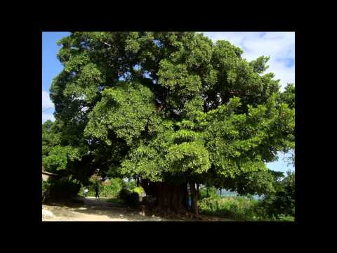 "Provens- Neg andeyo" -  Pick up Click