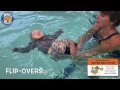8 Month Old Baby Practices Skills To Help Learn To Be Water Safer