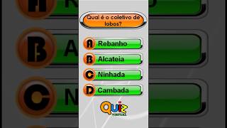 QUIZ VIRTUAL DE COLETIVOS | Você sabe os coletivos? Teste rápido de Português!
