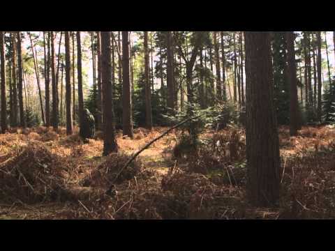 Matthew and the Atlas - Nowhere Now (official video)