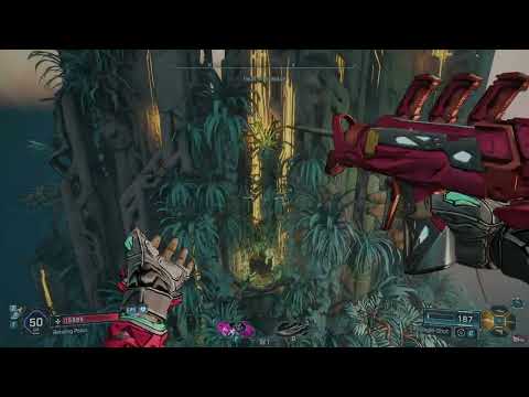 Borderlands 4 Vex Bleed Crit build / One Shot All Bosses