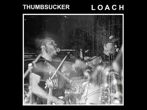 Thumbsucker // Loach - Split (2025)