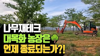 나무재테크 대목화 농장은 언제 종료되는가 | 나무대장