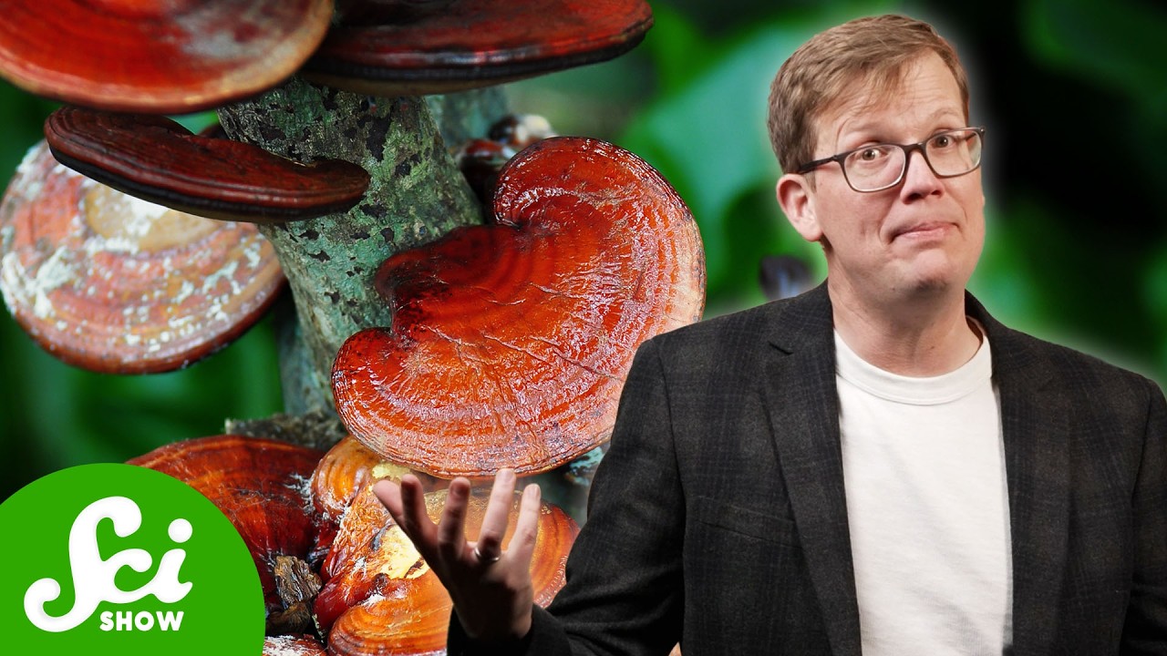 Do Reishi Mushrooms Really Treat Cancer?