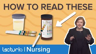 Urine Dipstick Color Codes Explained – Med-Surg Nursing | Lecturio Nursing