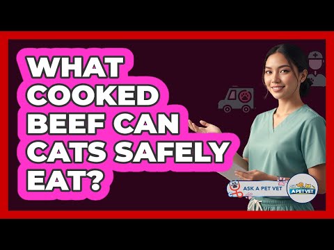 What Cooked Beef Can Cats Safely Eat?