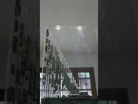 Explore as maravilhas da Grécia Antiga no Museu Arqueológico de Dion!