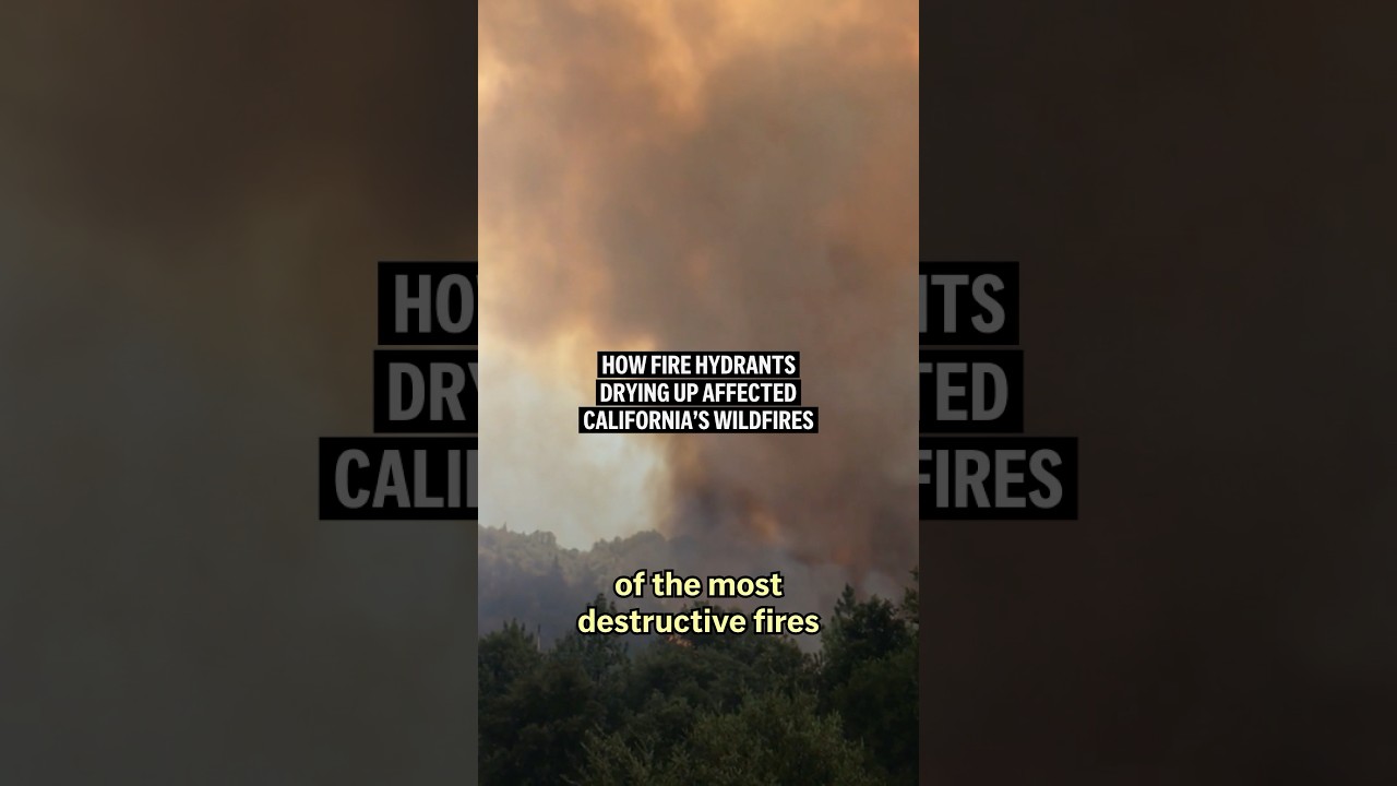How fire hydrants drying up affected the California wildfires