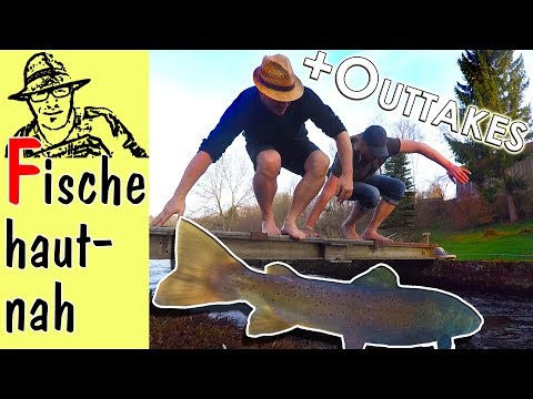 download lagu mp3 mp4 Fischzucht Zu Hause, download lagu Fischzucht Zu Hause gratis, unduh video klip Fischzucht Zu Hause