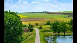 the cardigans - Country Morning