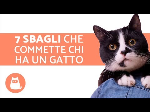 I parassiti combattono per un corpo 2 Helminths unincursione in lingua