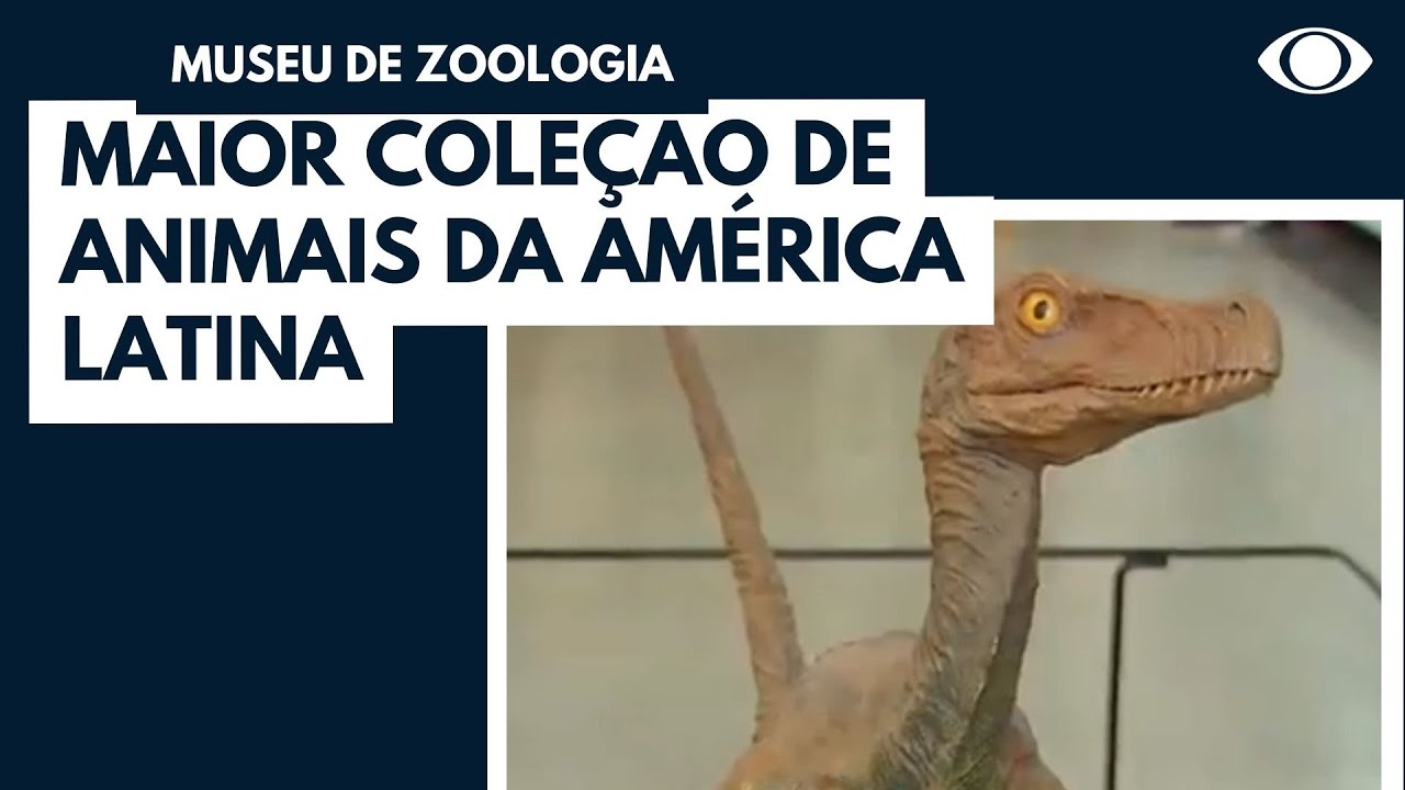Visita ao museu de Zoologia da USP