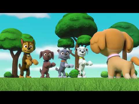The pups playing Ryder say - Paw patrol