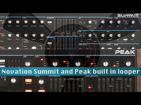 The Novation Peak and Summit have a built in lofi looper ! (lofi delay)