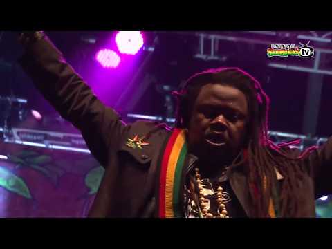 LUCIANO live @ Main Stage 2014