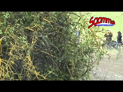 Liburna Ronde Terra 2014 Speciale Hoelbling - Fiorini Ford Focus WRC 1' Assoluti