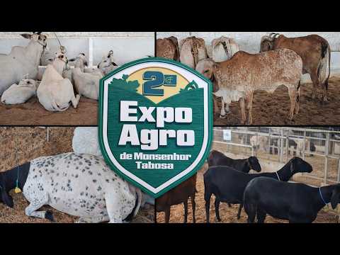 II EXPO AGRO DE MONSENHOR TABOSA CE - 03 A 07 DE SETEMBRO 2026
