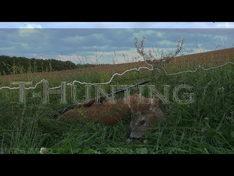 Bockjagd zur Rehbrunft - ein erstes Waidmannsheil