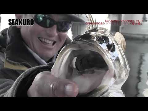 サンタレッシオ シークロ - 定義