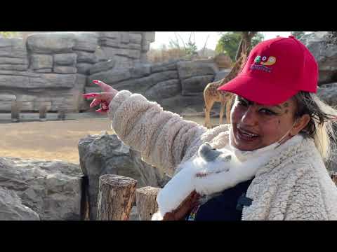 Varga Irén új élete - 4. rész / Tüzes Rodrigo /