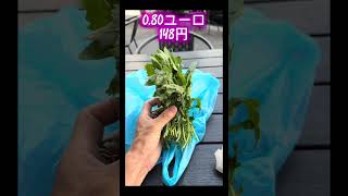 ローマ🇮🇹八百屋のおばちゃんの野菜保存法 の巻