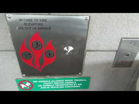 Mod in Progress: Schindler 6400 Traction Lindbergh Elevators @ Tampa Int'l Airport, Tampa FL