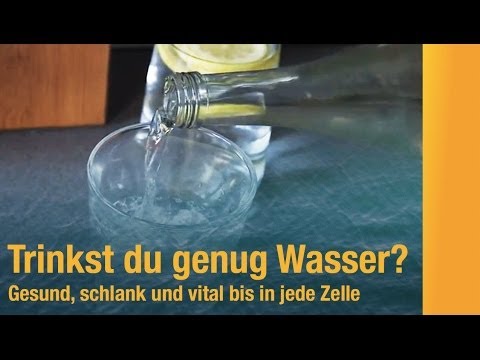 Wie viel Wasser trinken? Bei Sport und im Büro: Die richtige Menge Wasser hält fit, vital und gesund
