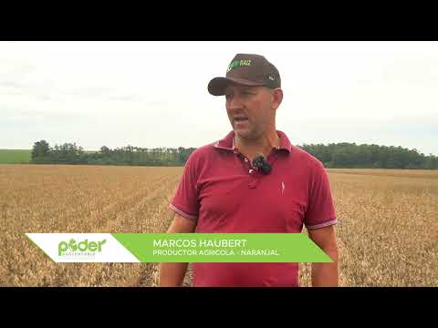 MARCOS HAUBERT PRODUCTOR DE NARANAJAL COMPARTE SU EXPERIENCIA CON EL USO DE BIOLOGICOS DE BIO-RAIZ