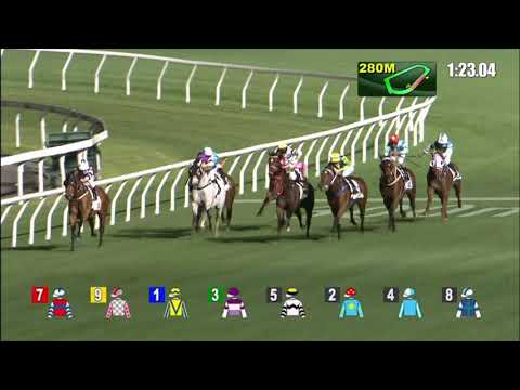 10/3/2021 (490) Tangmere - B Shinn