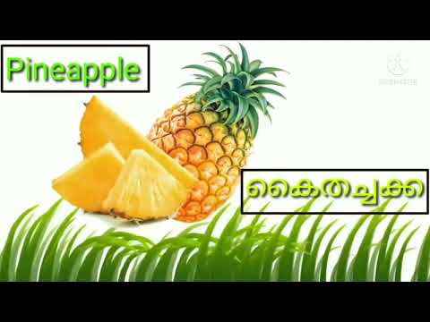 fruits name in Malayalam language