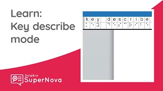Learn SuperNova: Key Describe Mode