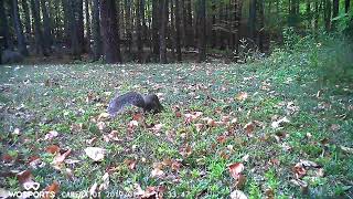 2509221001   HD 720p