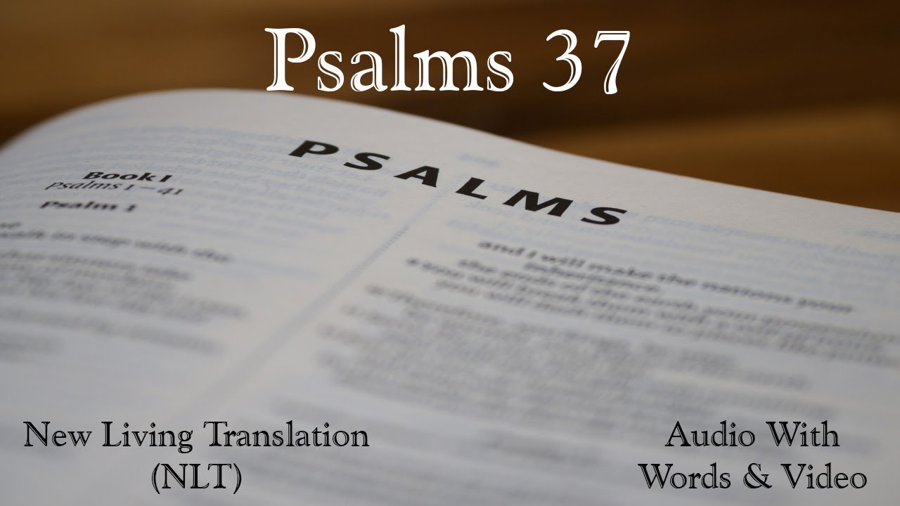 Psalms 37 - New Living Translation (NLT) Audio Bible.
